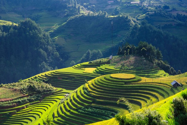 3 WEEKS IN VIETNAM TRAVEL ITINERARY