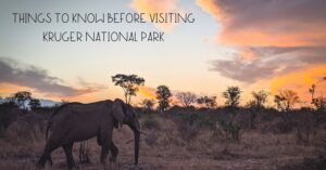 THINGS TO KNOW BEFORE VISITING KRUGER NATIONAL PARK
