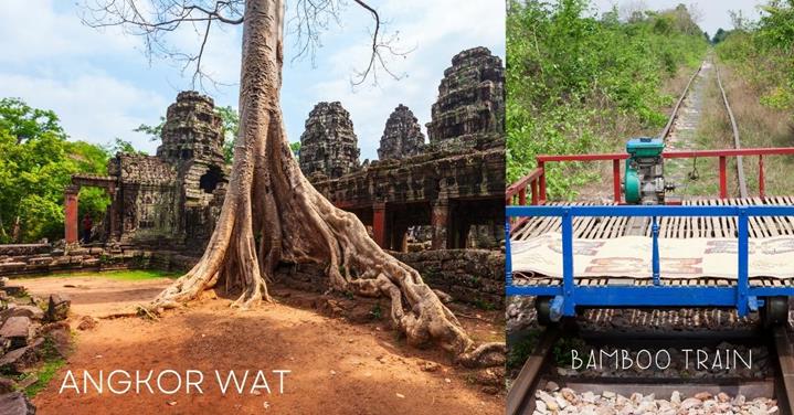 tall, old tree, temples - 3 weeks in cambodia and Vietnam