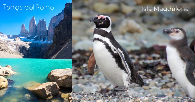 penguins, glacier lake, mountains - 3 weeks in chile