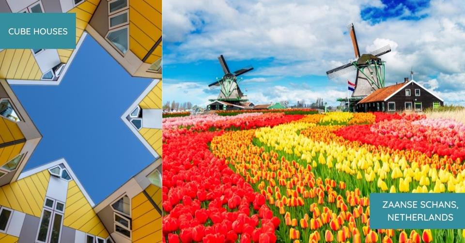 2 images - Cube Hoses in Netherlands and windmill around tulip farm in Zaanse Schans Netherlands 3 Weeks in Western Europe Itinerary