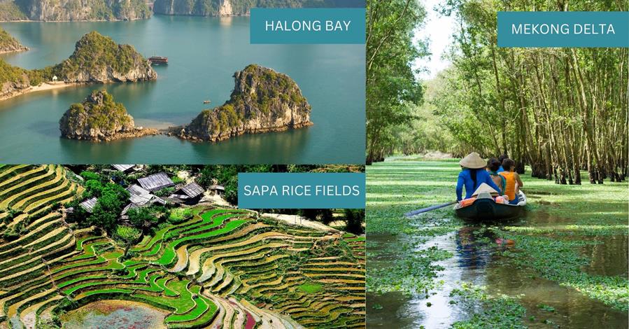 3 images - halong bay, sapa rice fields, and boat cruise on mekong delta