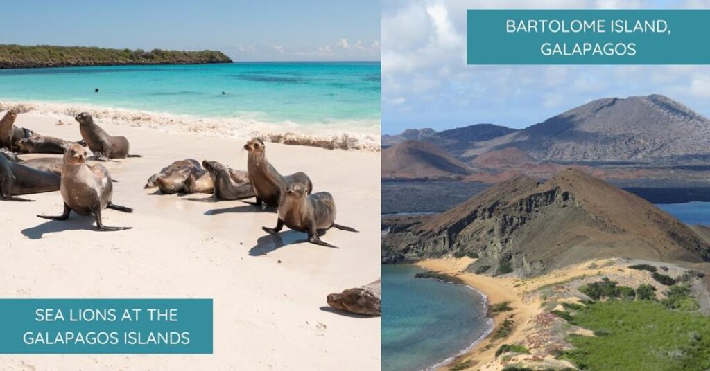 2 images - on the left are the sea lions on the beach in Galapagos Islands. On the right is the hilly mountains of Bartolome Island in the Galapagos