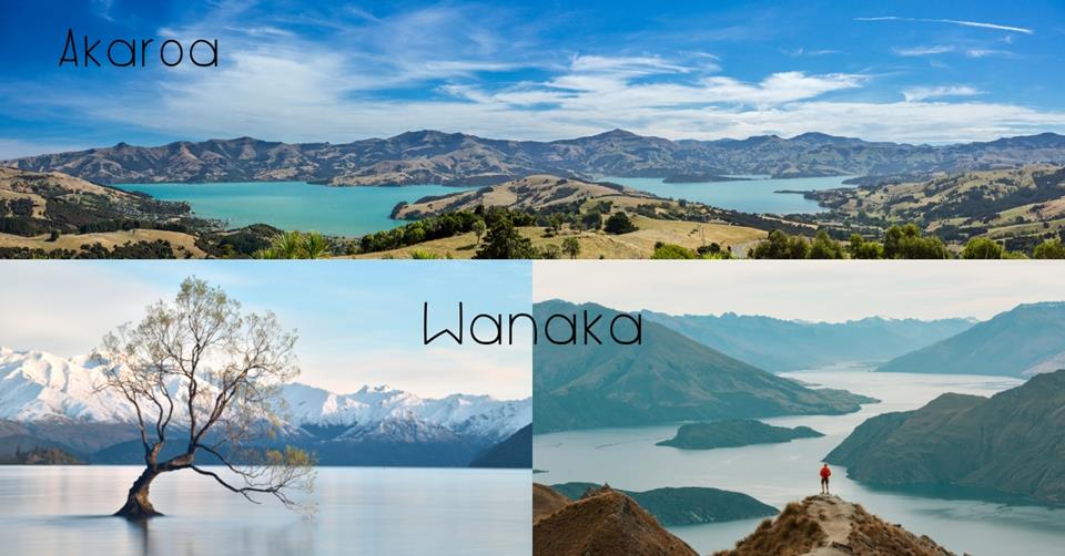3 images - on top is the Akaroa viewpoint. on the bottom left is the Wanaka Tree. On the right is the Wanaka Hiking