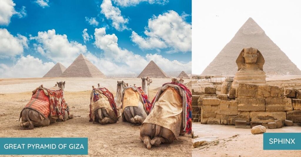 2 images - on the left are camels sitting on the desert overlooking the pyramids. on the right is the statue of sphinx with pyramid at the background