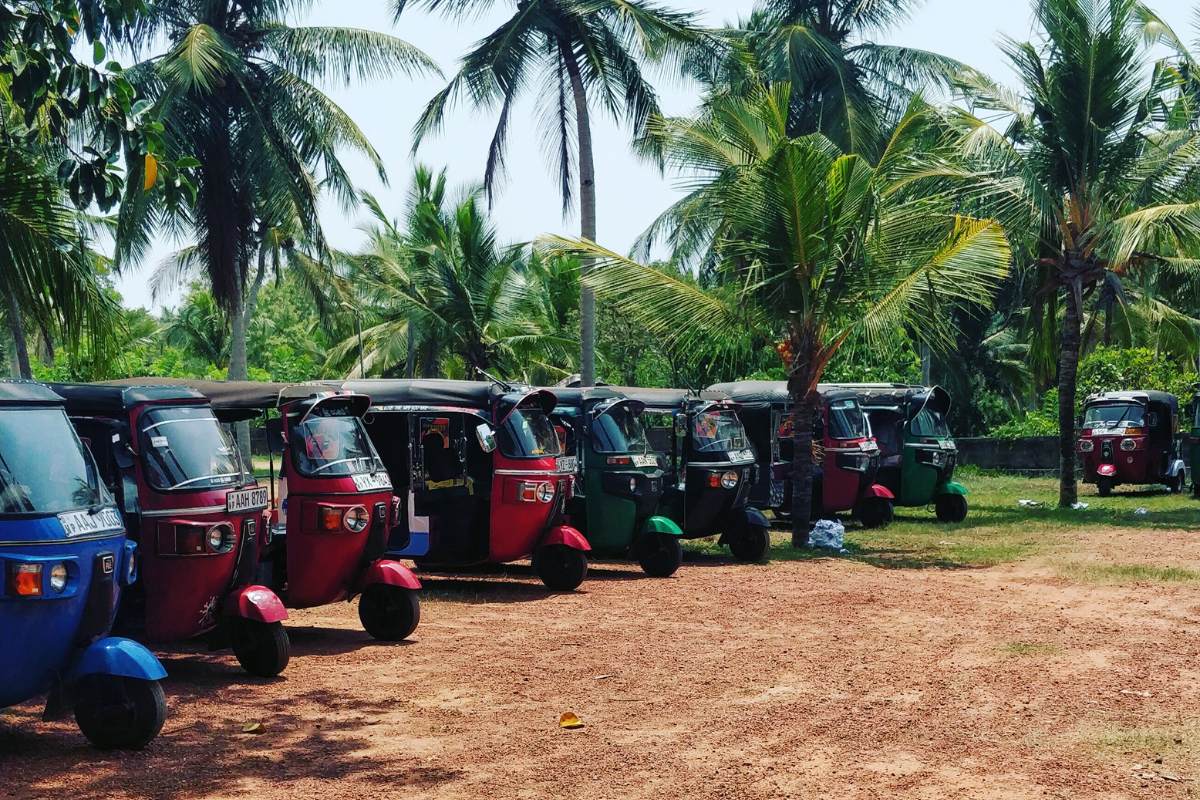 Our roadtrip starting point in Sri Lanka. Lined up Tuk tuks