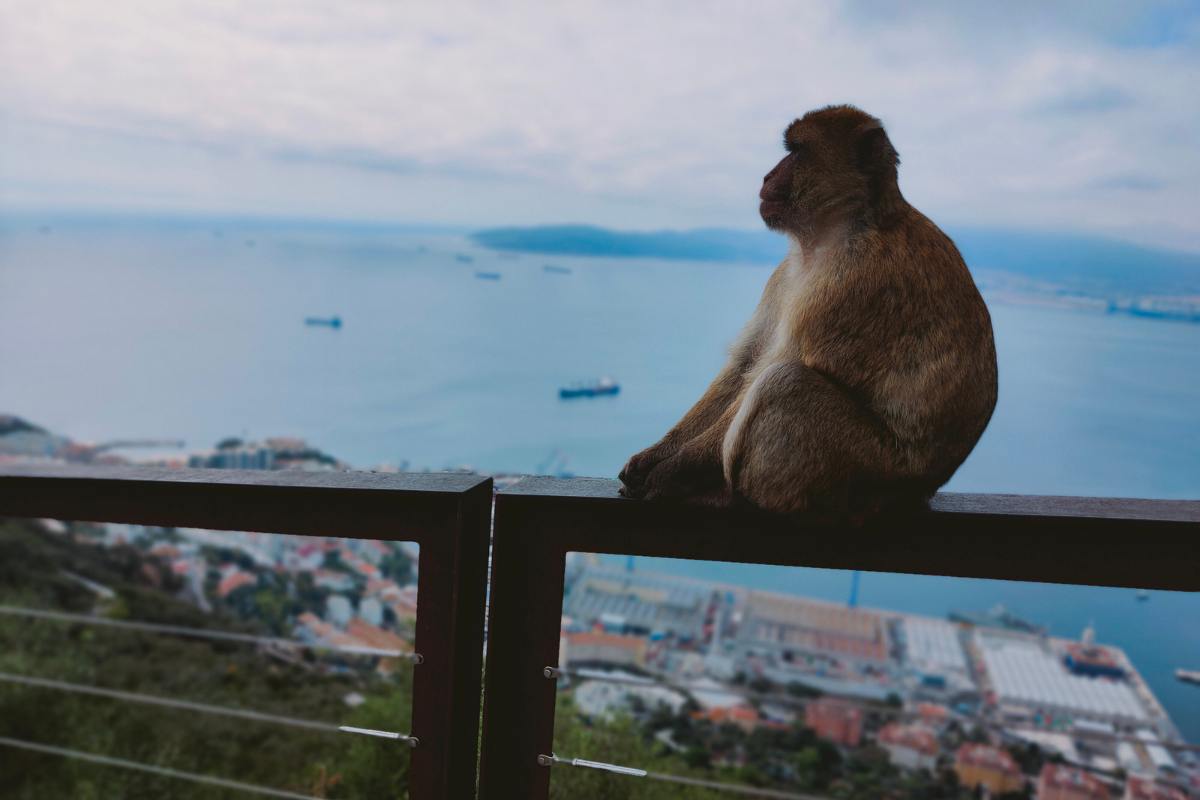 Is Gibraltar worth visiting?