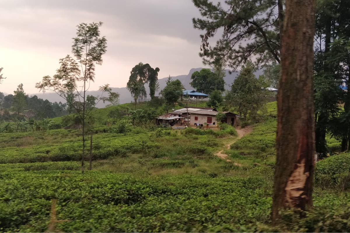 Little England in Sri Lanka