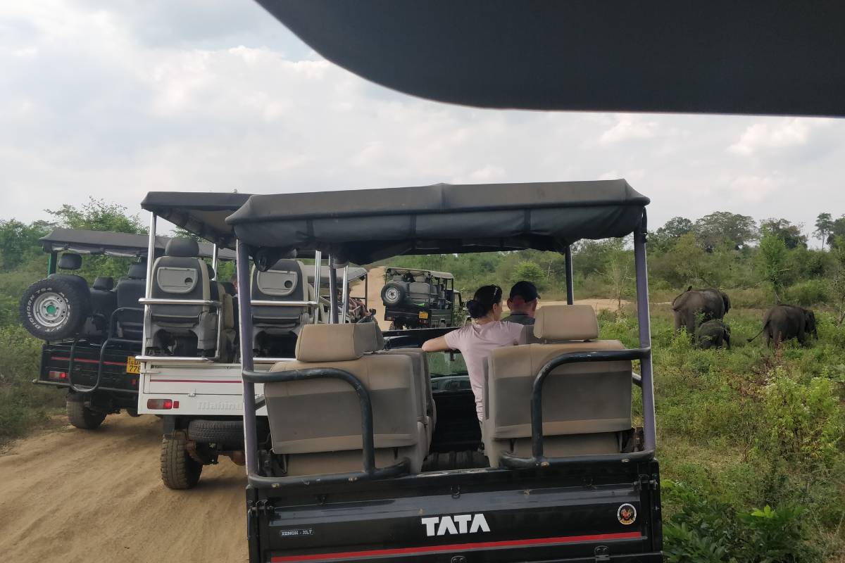 Safari trip around Udawalawe National Park, Sri Lanka