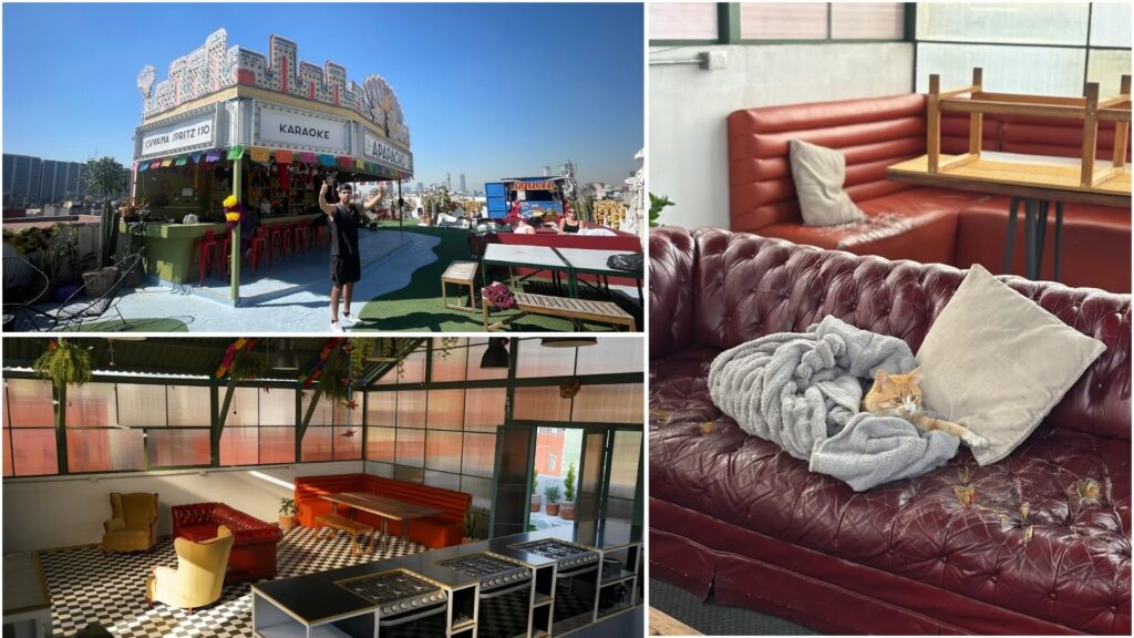 Where To Stay In Mexico City For Solo Travellers 5