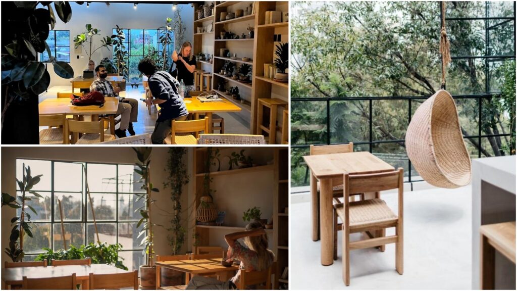 Where To Stay In Mexico City For Solo Travellers 9