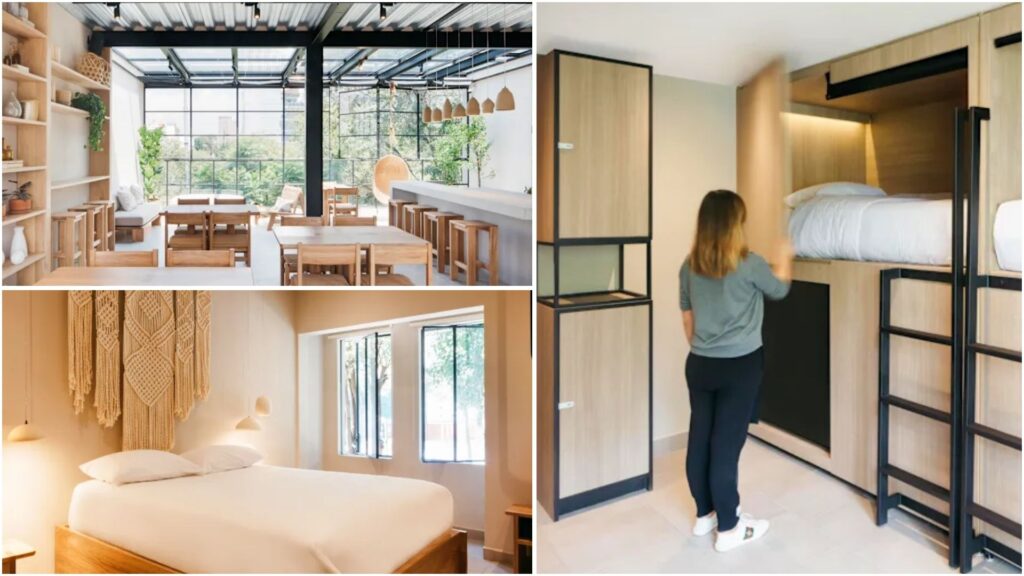 Where To Stay In Mexico City For Solo Travellers 7