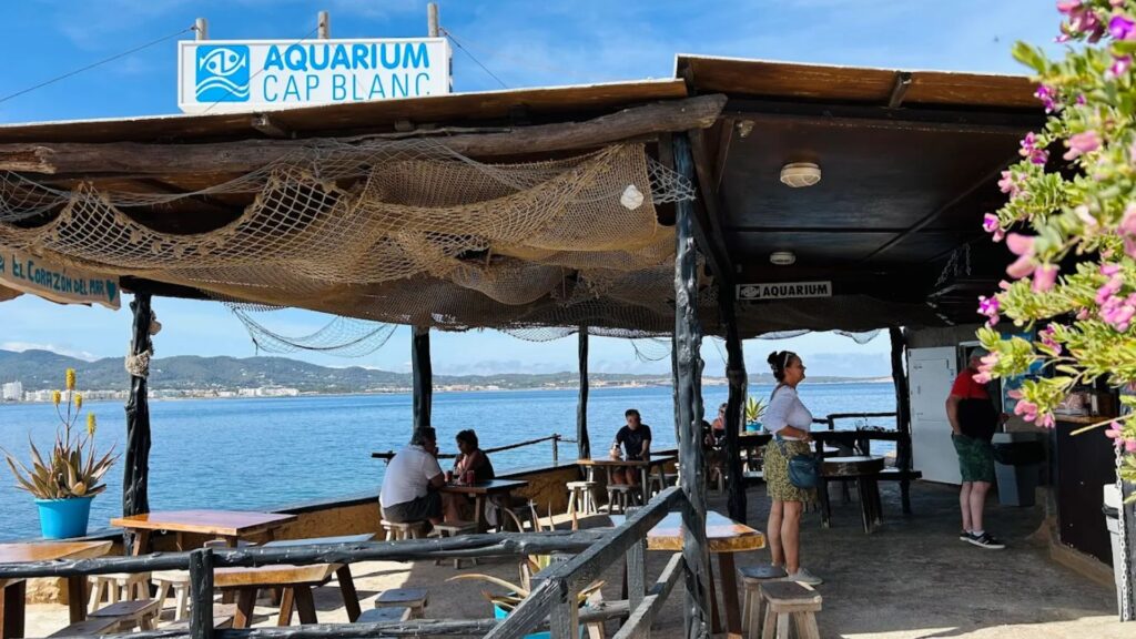 Catfish, octopus, stingray and a view out to sea