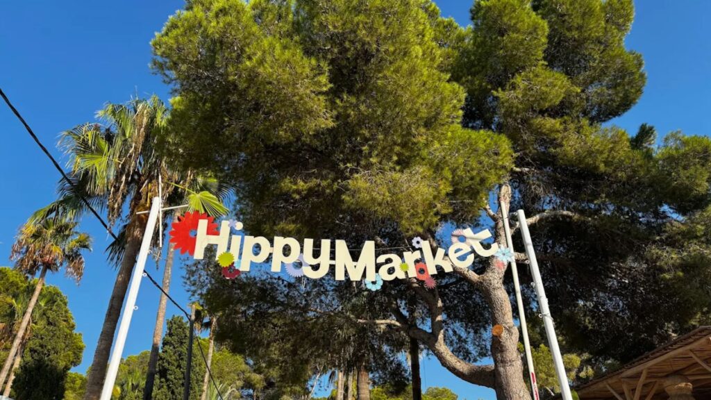 Is Ibiza Worth Visiting? 13