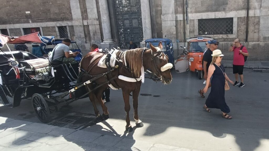 Horse and cart alongside the Apia scooter taxis in Palermo